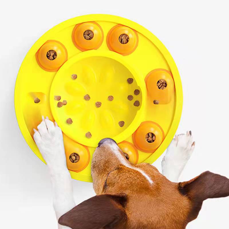 Hund äter ur interaktiv aktivitetsskål