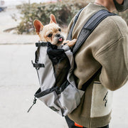 Bärryggsäck för hund