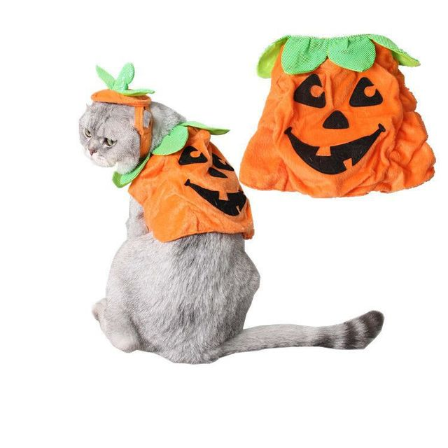 Pumpadräkt med hatt för husdjur till Halloween