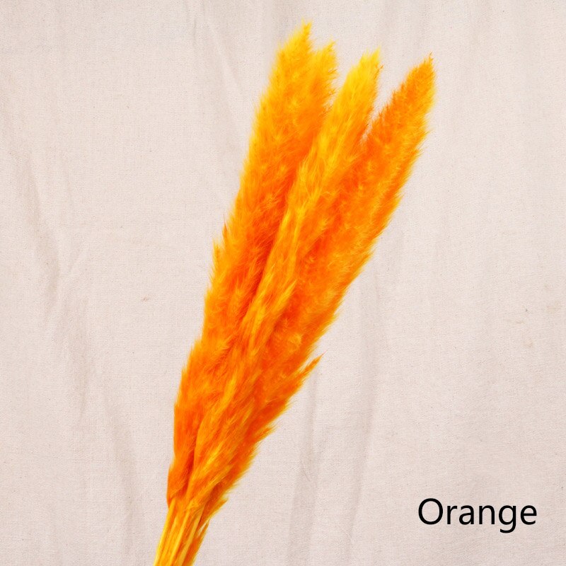 Torkade vasstrån i orange