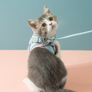 Kattsele med koppel