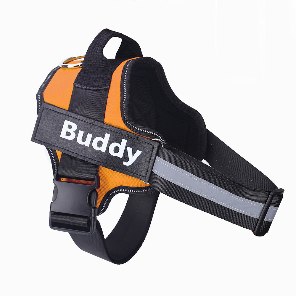 Orange hundsele med reflexband och broderad namnbricka