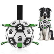 Hundleksak fotboll