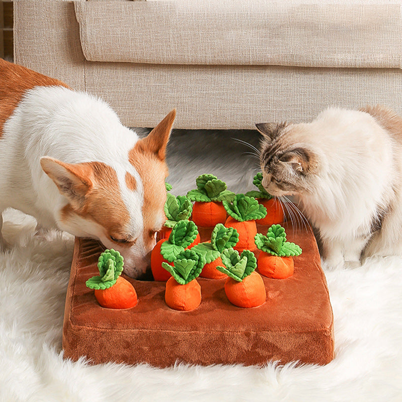 Hund och katt nosar i snuffelmattan med morötter