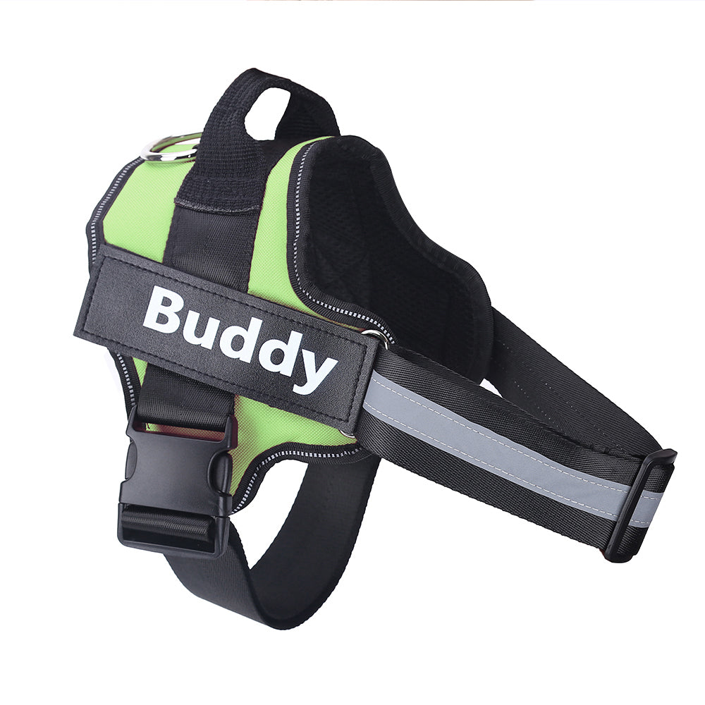 Grön hundsele med reflexband och broderad namnbricka