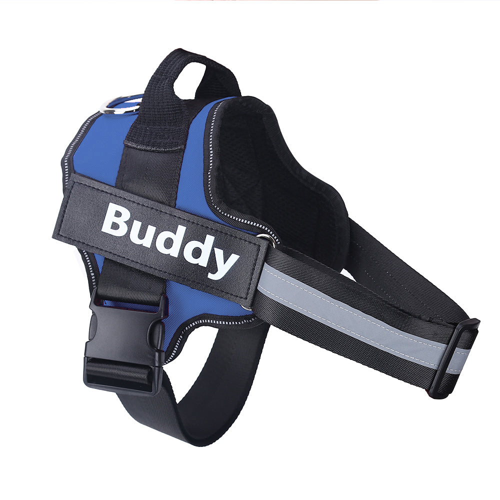 Blå hundsele med reflexband och broderad namnbricka