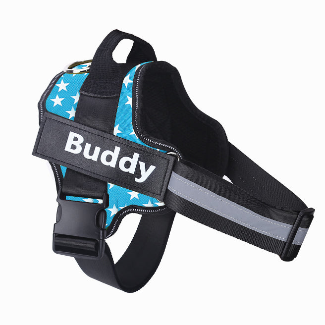 Blå hundsele med stjärnmönster, reflexband och namnbricka