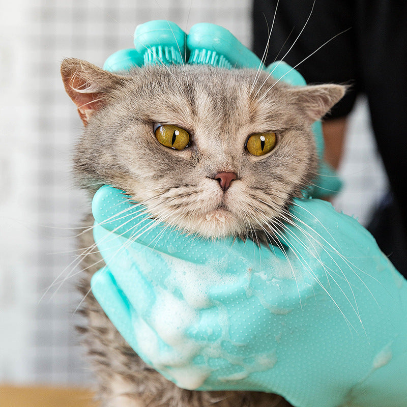 Pälsvårdshandske används vid badning av katt