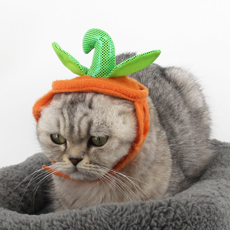 Pumpadräkt med hatt för husdjur till Halloween