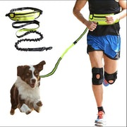 Hundkoppel handsfree med midjebälte