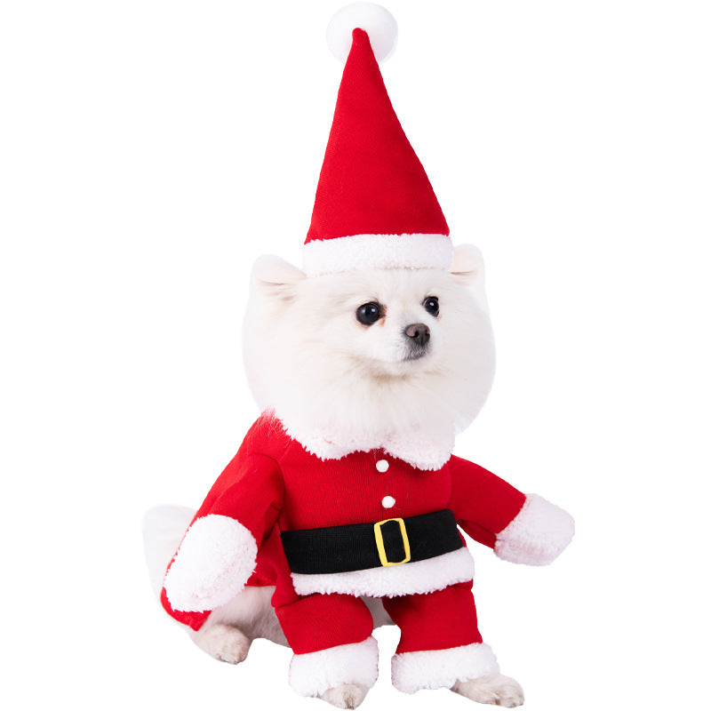 Maskeraddräkt för hund