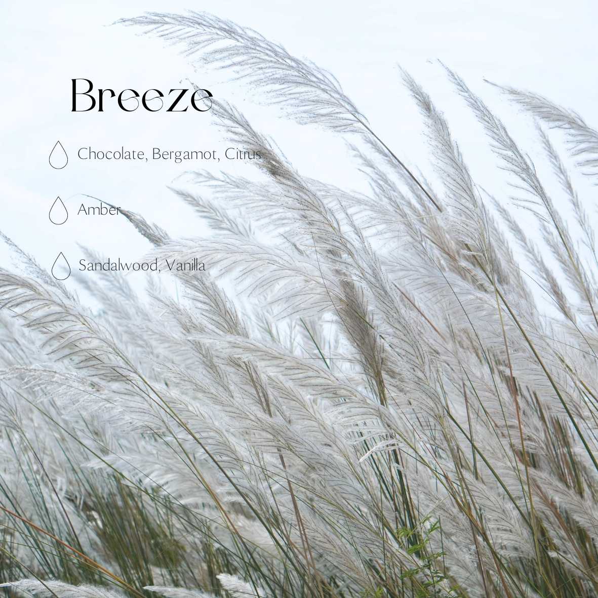 Bildoftspridare – Breeze