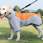 Vinterjacka för hund