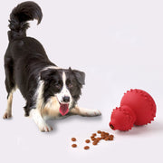 Hundleksak i naturgummi
