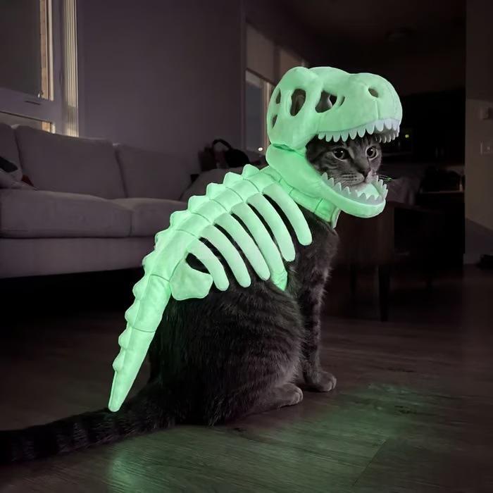 Dinosauriedräkt för husdjur