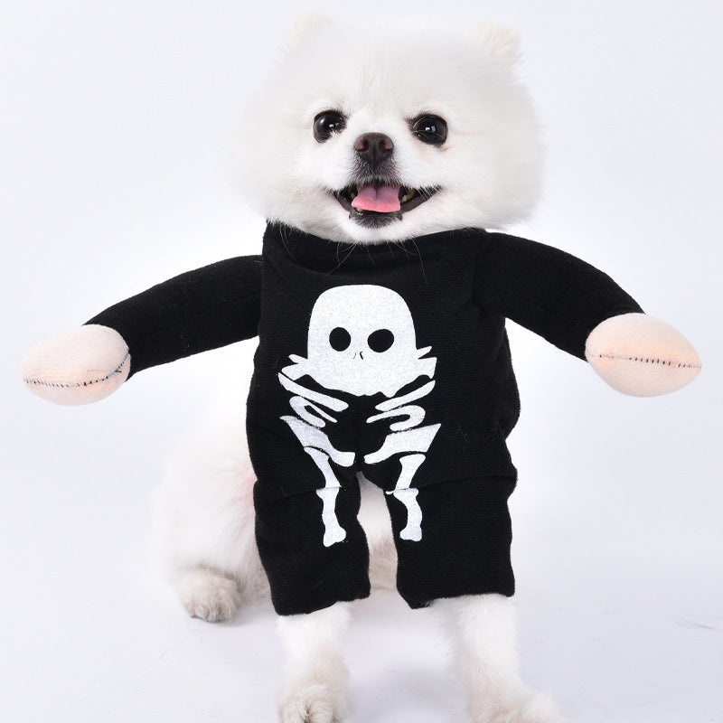 Maskeraddräkt för hund
