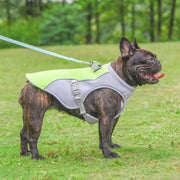 Kylväst för hund
